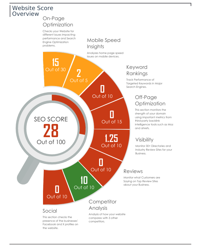 Website SEO Overview Scores