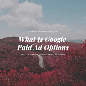 What Is Google Paid Ad Options