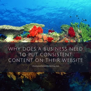 Why Does A Business Need To Put Consistent Content On Their Website