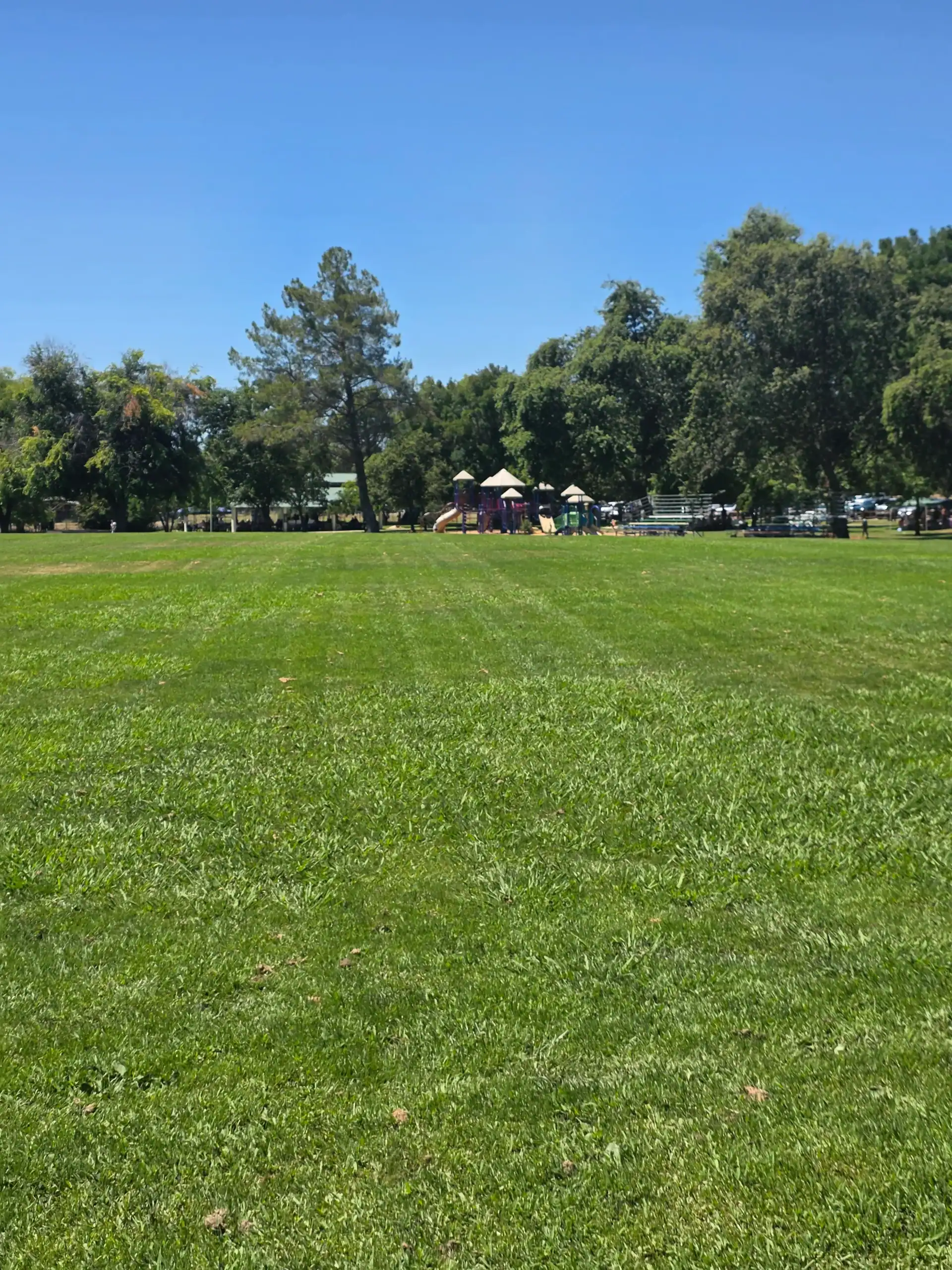 Orangevale Community Park in Orangevale on Filbert Ave and Oak Ave Orangevale Community Park in Orangevale on Filbert Ave and Oak Ave - grass field with playground in background